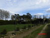  <h2>Hohes Feld</h2>